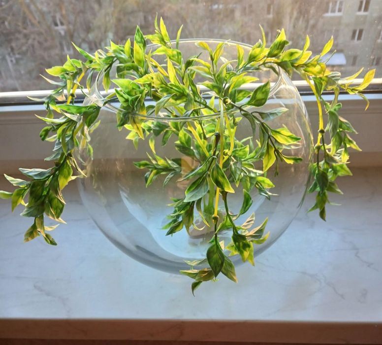 Акваріум-ваза для рибок і квітів