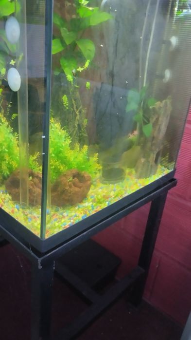 Vários  Aquários  50 ,, 60 ,, 90 ,