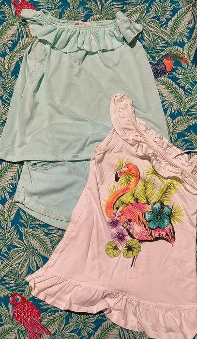 Zestaw bluzek H&M, Here+There roz. 146-152