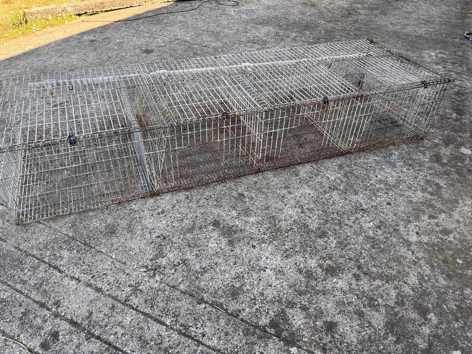 Coelheira para coelhos