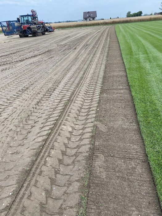 Premium trawa w rolce- producent