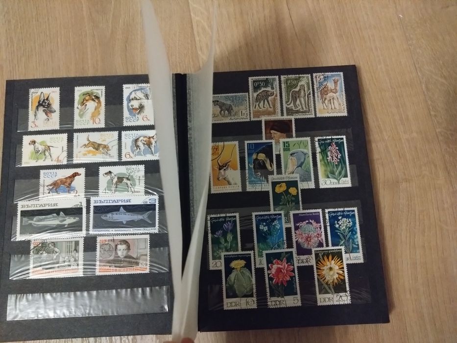 Znaczki z całego świata. Mega kolekcja.