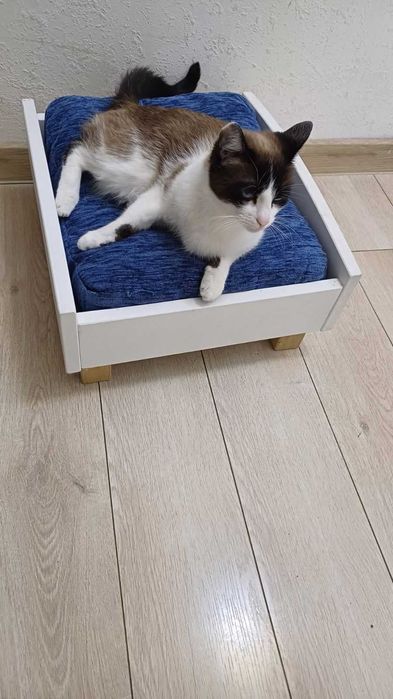 Лежак для кота або маленької собачки