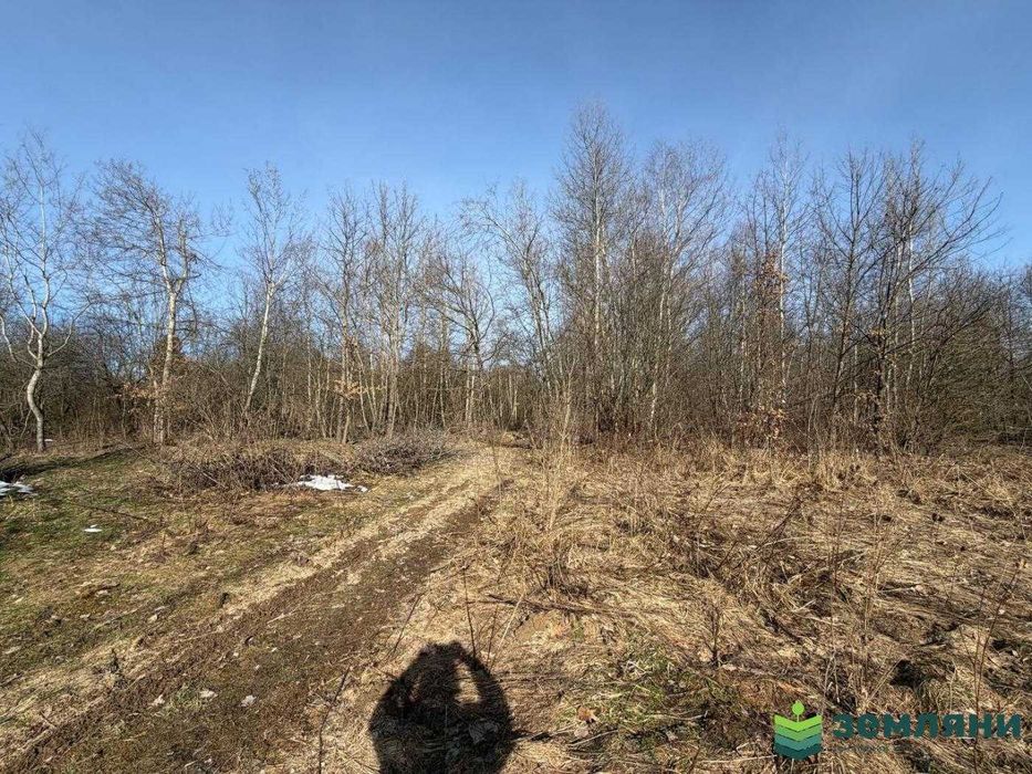 Продається ділянка 25 сот під будівництво  с. Посіч (1)