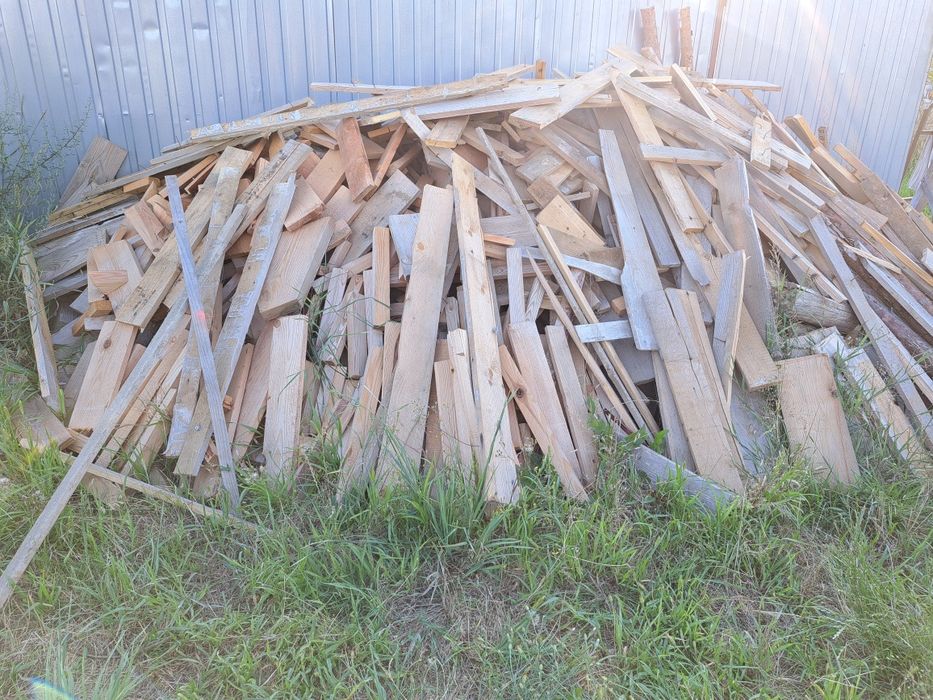 Drzewo jak na zdjęciu