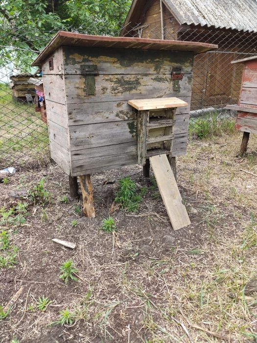 Вулики з бджолами