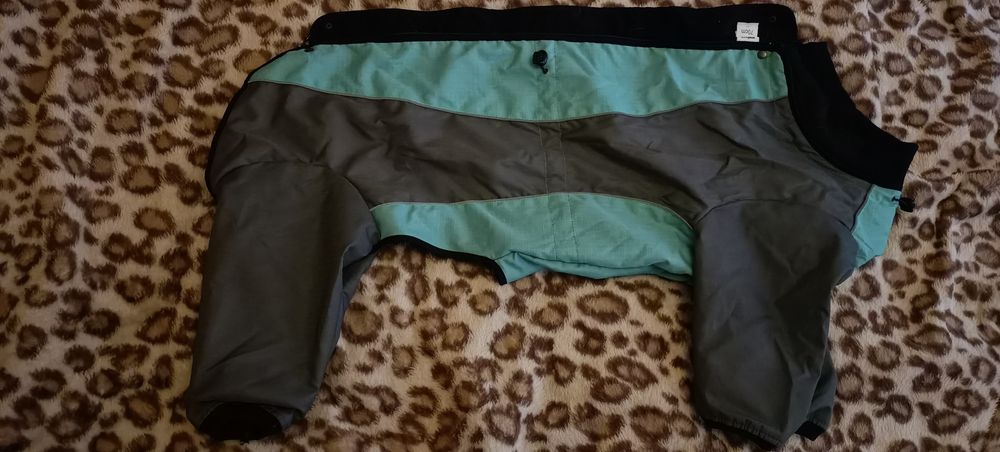 Dla pieska potrzebującego