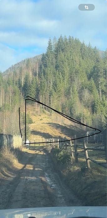 Приватна діоянка межує з лісом та струмком .