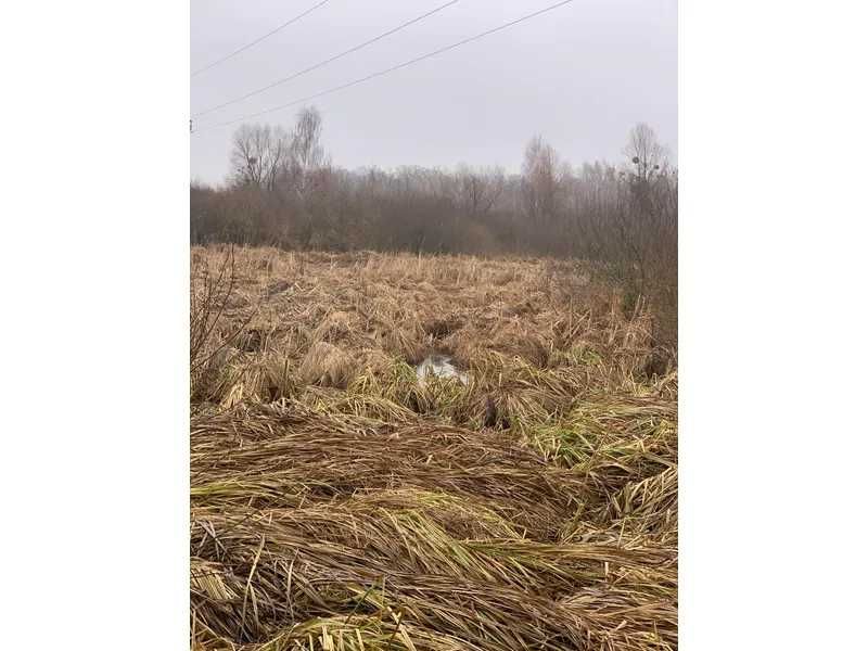 Земельні ділянки заг. пл. 4,0000 га під ОСГ Головурівський с/о