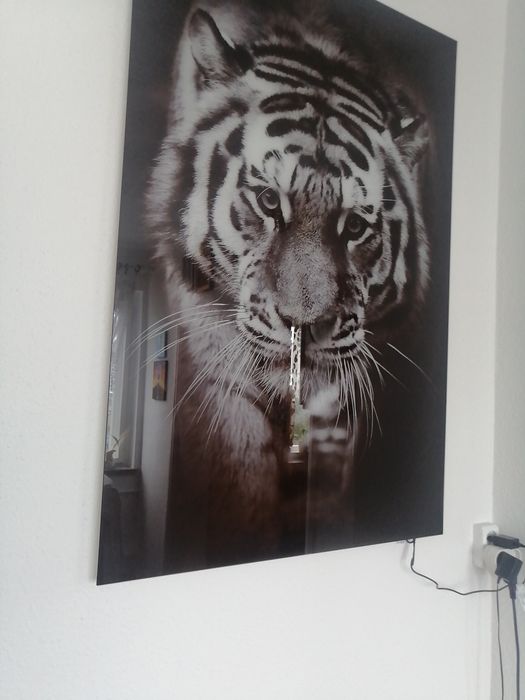 Obraz szklany z motywem zwierzęcym.