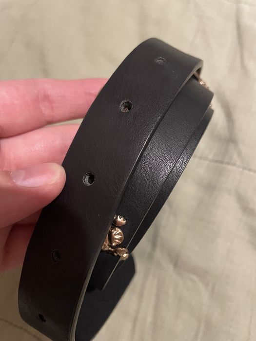 Ремінь з комахами, пояс, 90 см, золоті комахи