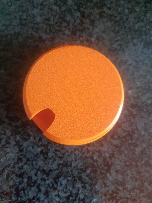 Pokemon go plus case