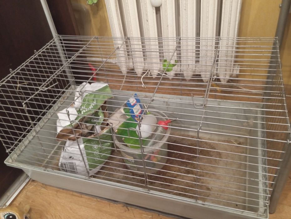 Oddam klatkę po króliku miniaturce