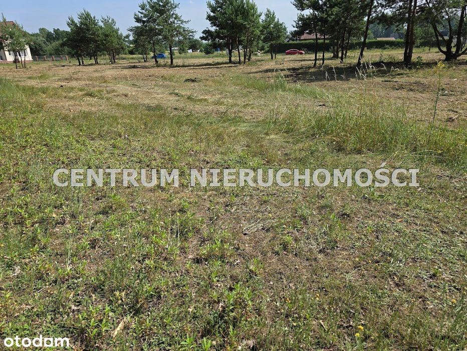 Działka, Łochowo - Widok 3