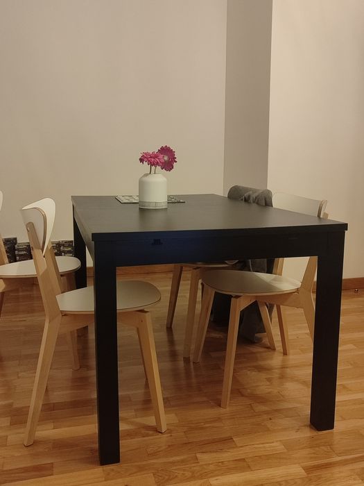 Vendo mesa e cadeiras