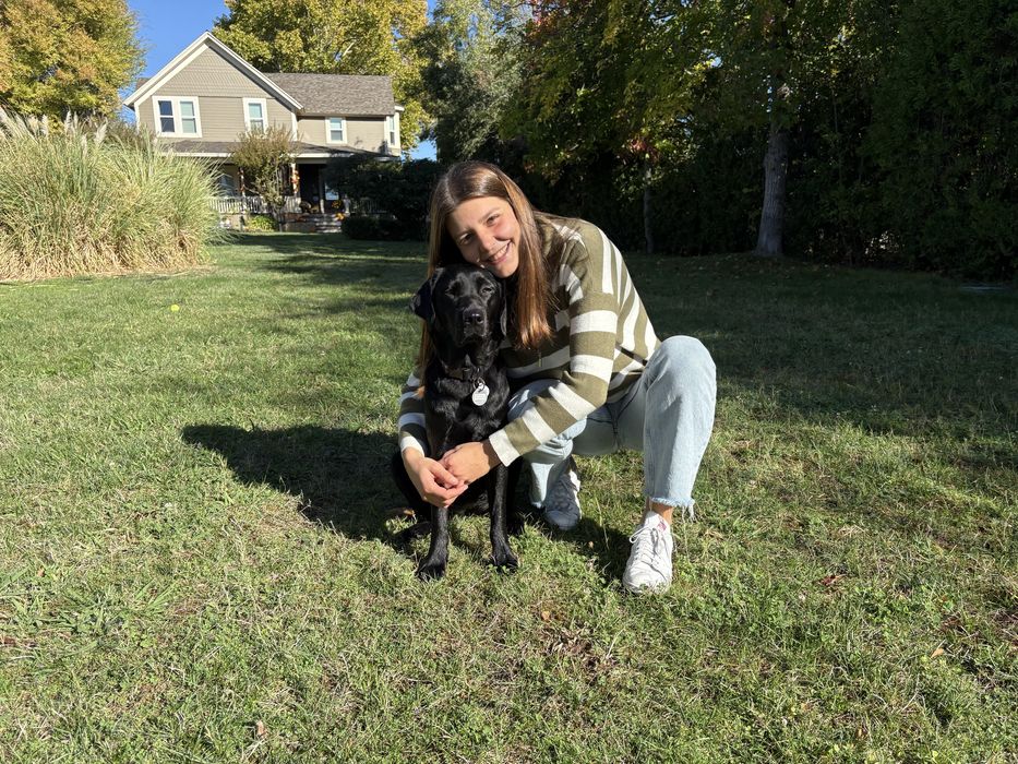 Dog walking/ Passeio de cães