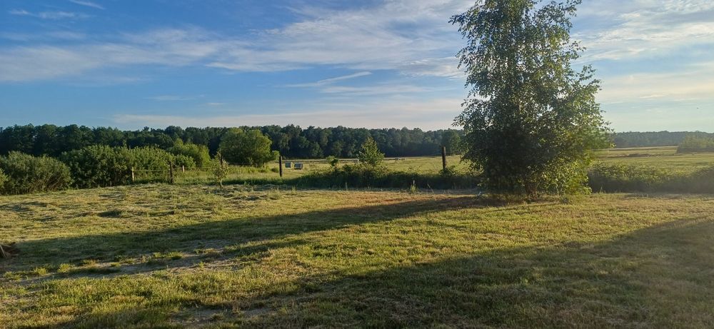 Dom parterowy z duza działka 2114m2