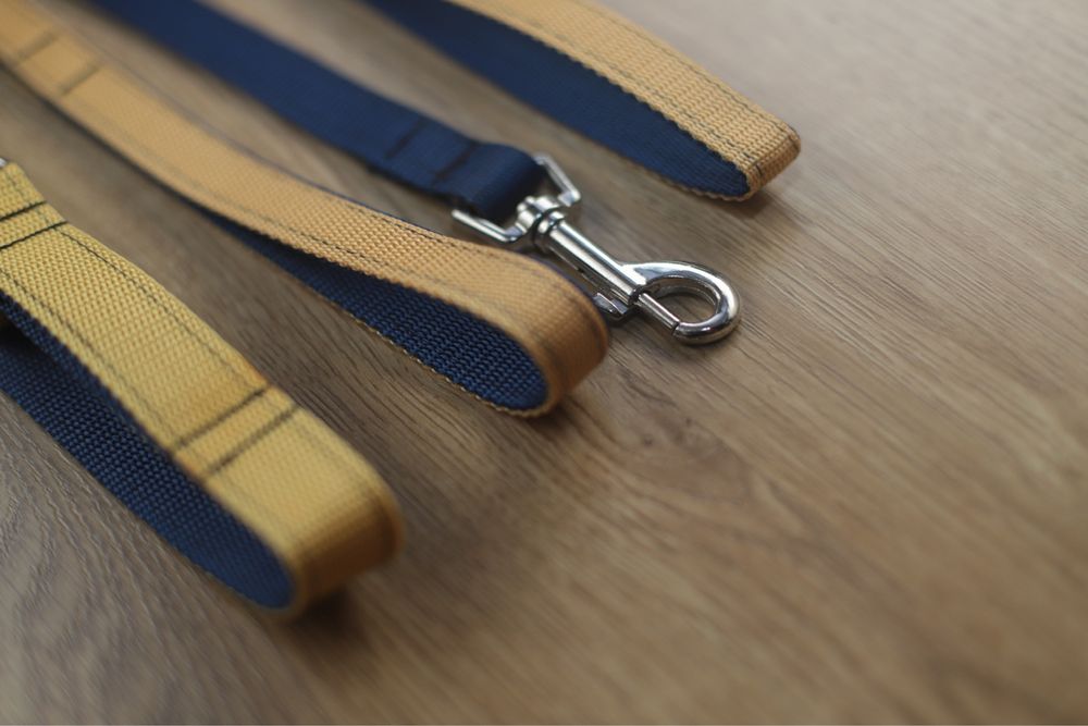 Szelki, smycz, obroża