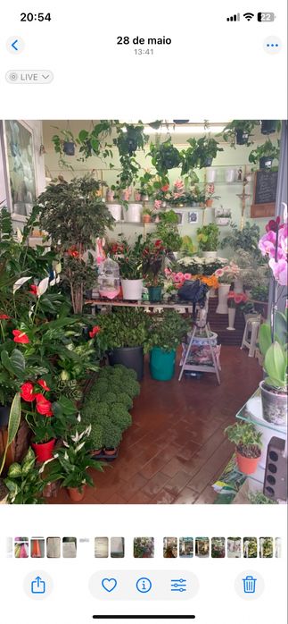 Venda de loja em Queluz