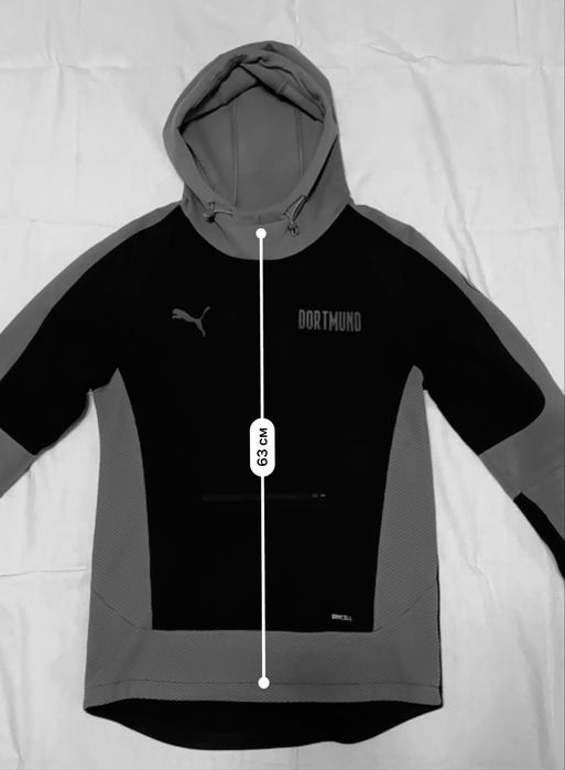Кофта Puma Dortmund