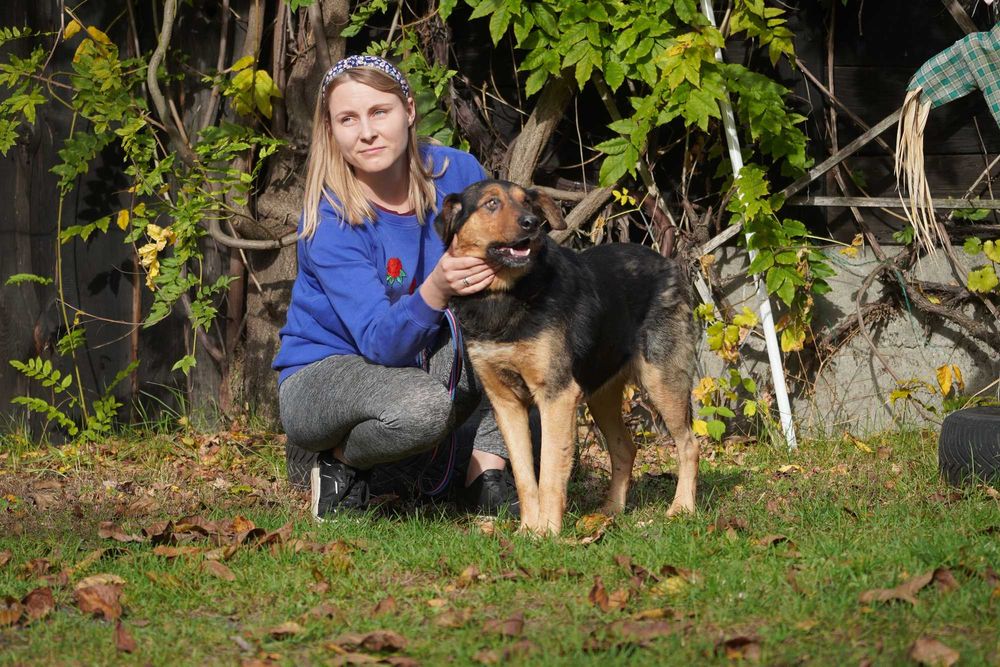 Stryszek - mega fajny psiak szuka domu