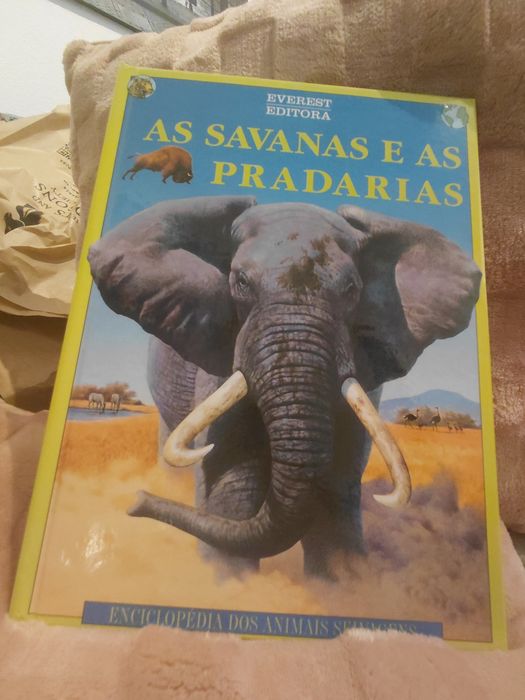 Vendo coleção completa de 8 livros NOVOS em caixa