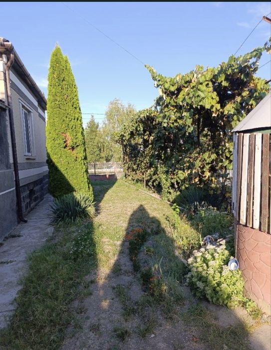 Продається добротний будинок у центрі села Сюрте