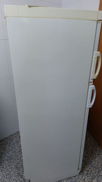 Frigorífico AEG ÖKO_SANTO – a funcionar (necessita verificação)