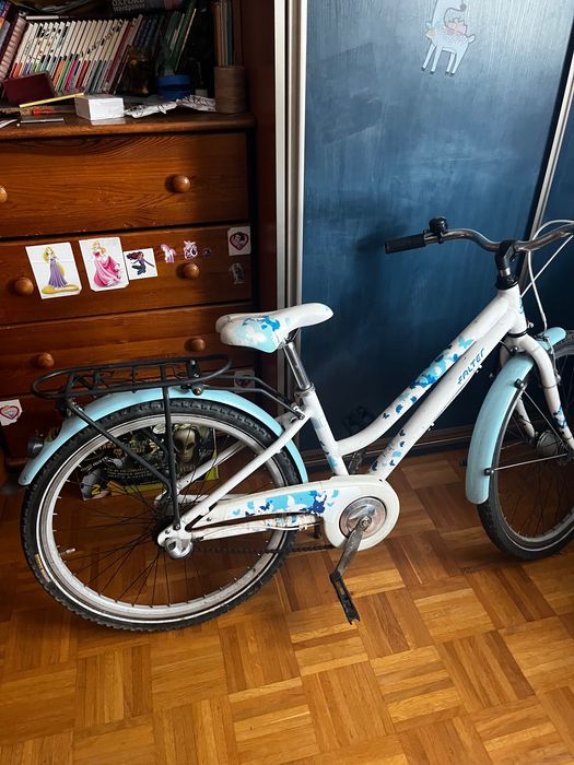 Rower Falter 24 cali