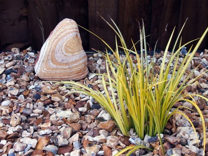 Kamień Otoczak tęczowy 3-6 cm - wyjątkowy kamień ozdobny do ogrodu