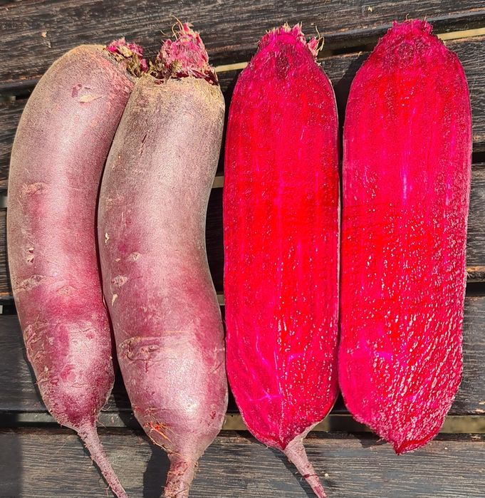 Zestaw warzyw 24kg bezpośrednio z gospodarstwa