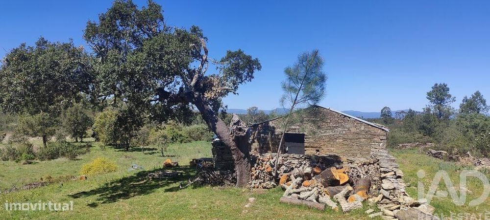 Quinta rural em Benquerenças