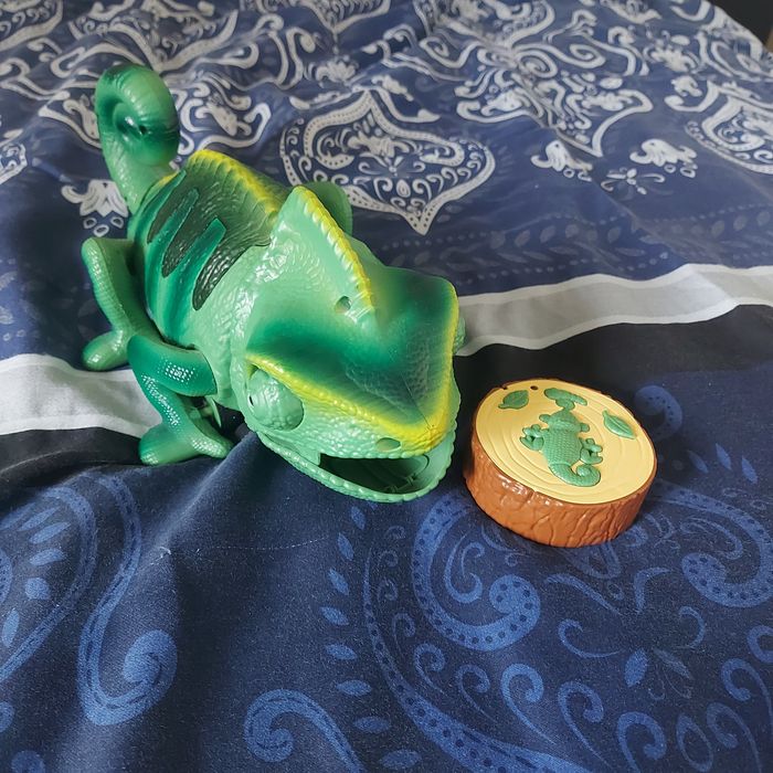 Jaszczurka na pilota