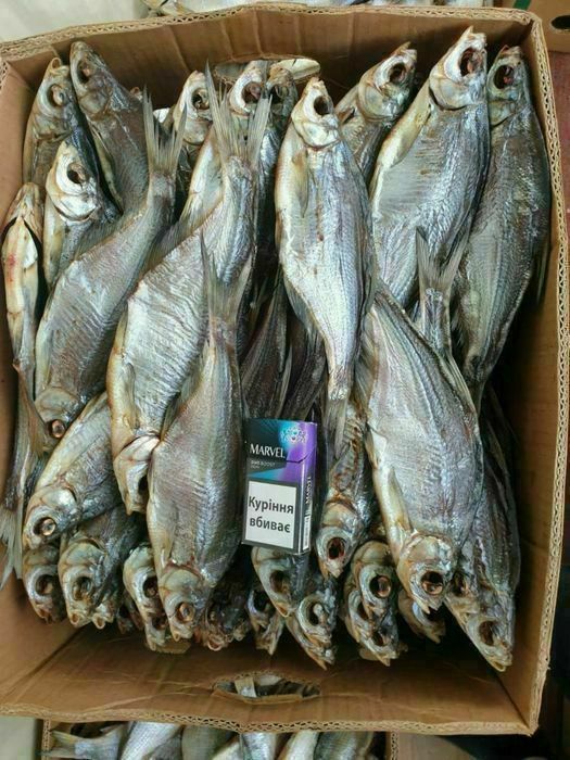 Тарань з ікрою. Плотва ікряна. Лящь таранька судак Окунь ікра щуки