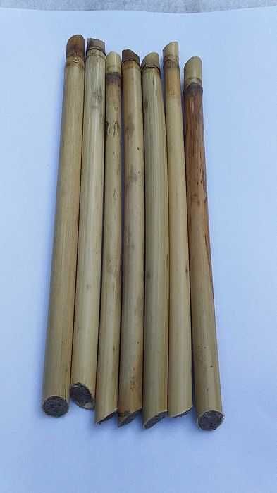 Пчёлы осмии, ранневесенние опылители