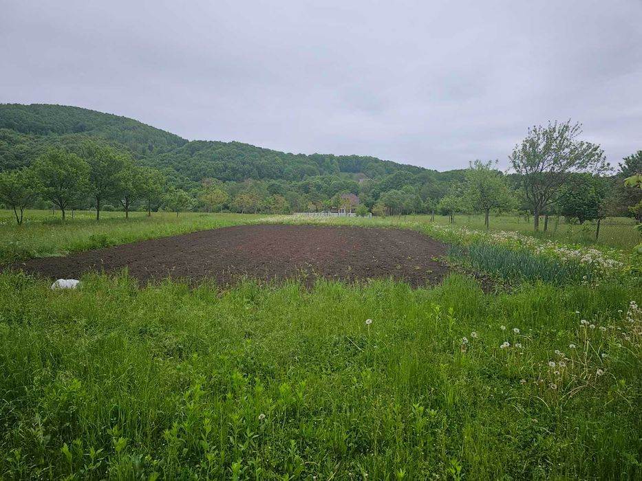 Довгострокова оренда приватного будинку