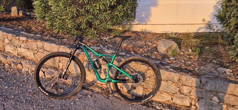 Cannondale scalpel carbon 4 2024