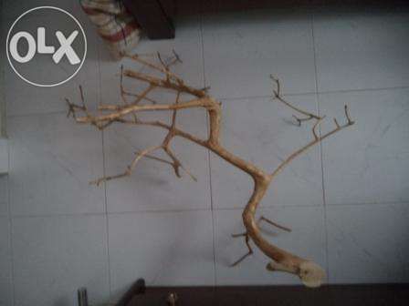 Peças decorativas em madeira de oliveira