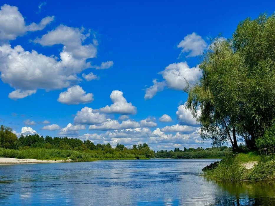 Оренда будиночка біля Десни с. Рожни!