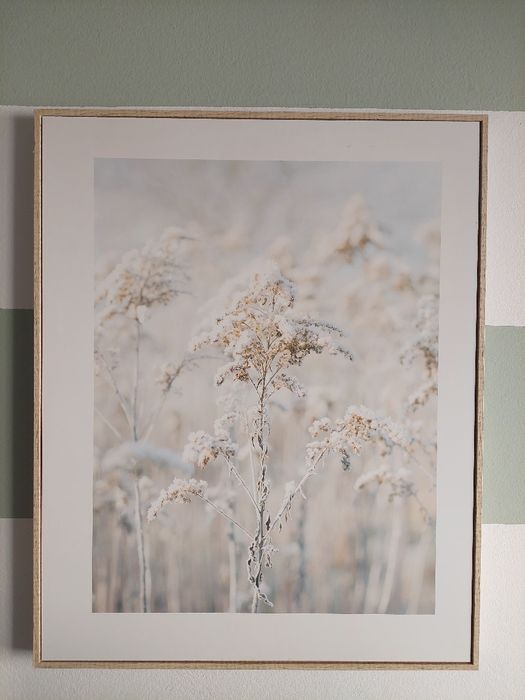 2 quadros bonitos e como novos