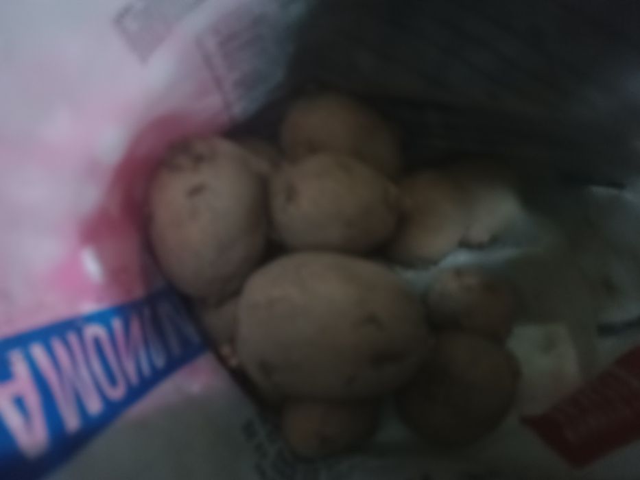 Ziemniaki jadalne b.dobre