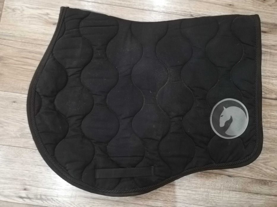 czaprak first horse on the moon