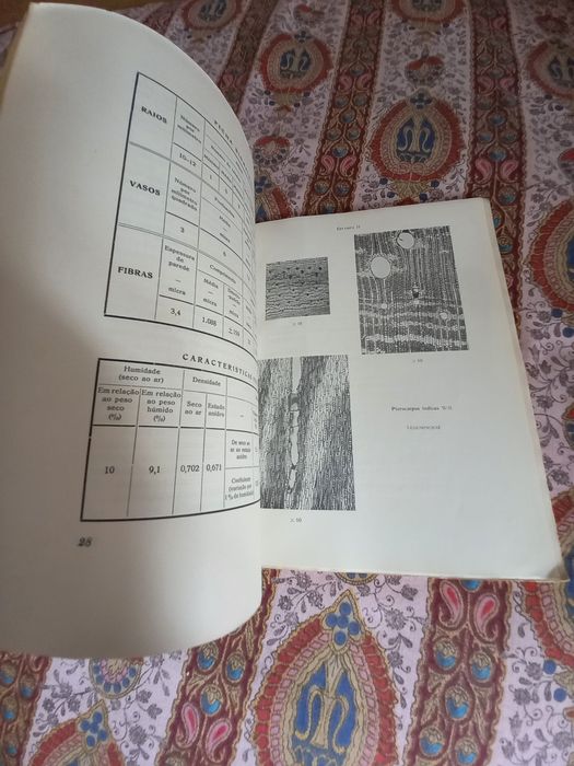 O Estudo das Madeiras de Timor 2 volumes