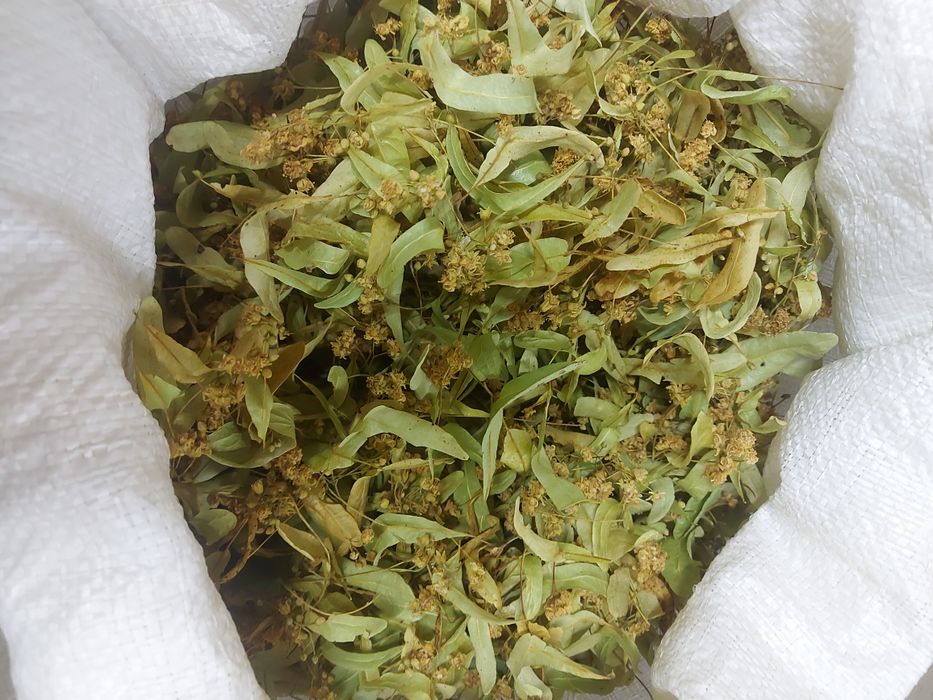Цвіт липи сушений