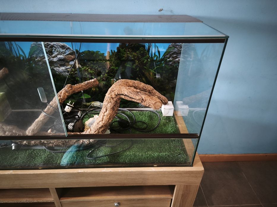 Vendo terrário para lagartos