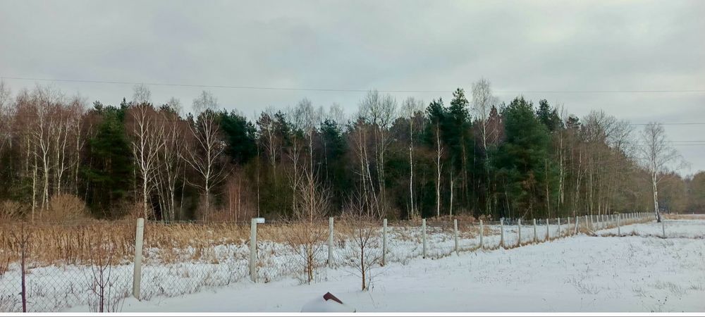 HACJENDA NA CICHEJ 300zł. Od osoby - ustalana indywidualnie