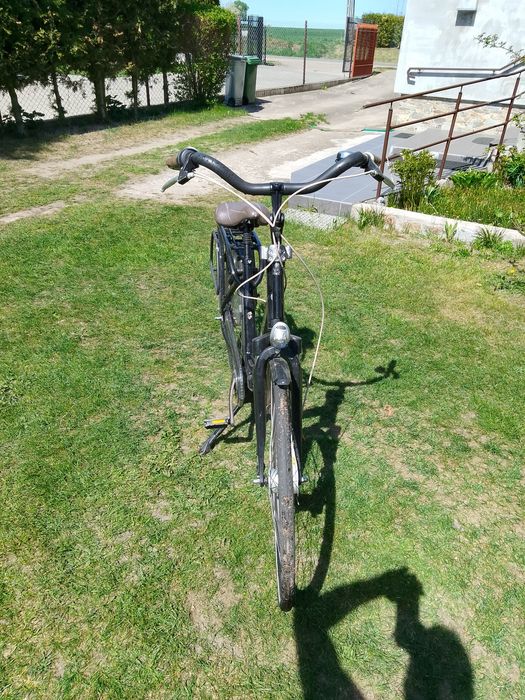 Rower Sparta Amazone