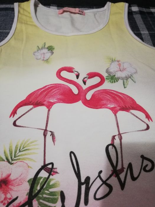 Летний костюмчик с фламингой.