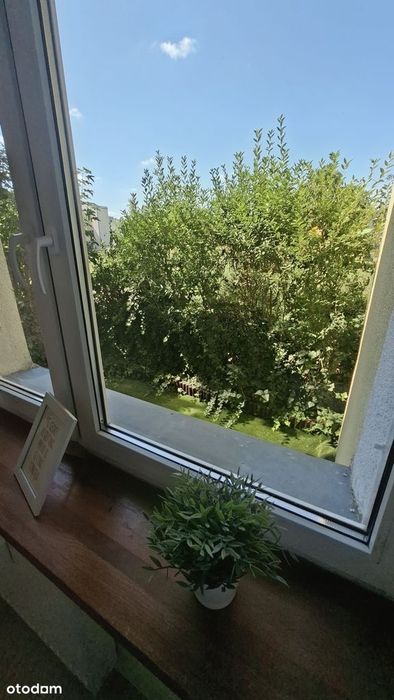 Klimatyzacja, ogródek, podgrzewana podłoga, po remoncie, parter, 2 pok