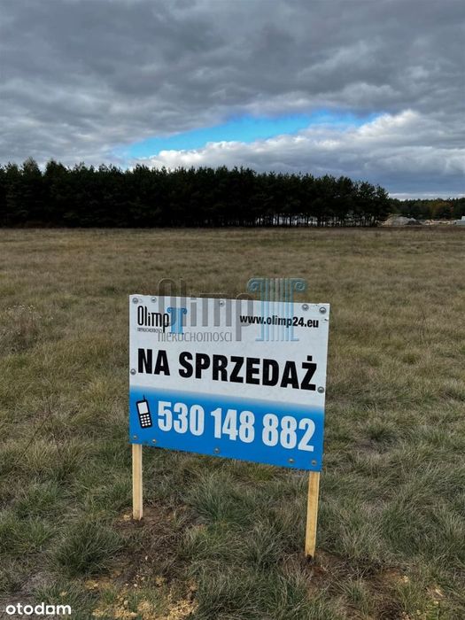 Duża działka w miejscowości Nowe Dabie gm Łabiszyn